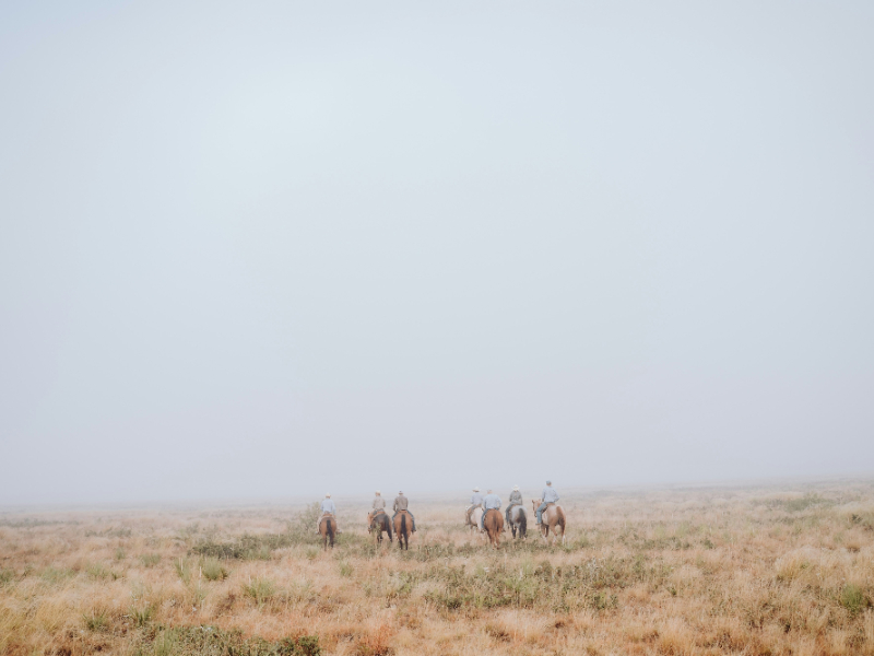 Sono questi i 4 Film Western Più Importanti nella Storia del Genere Sono questi i 4 Film Western Più Importanti nella Storia del Genere
