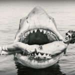 Gli Orrori Inarrivabili: I 5 Film Sulle Creature e Mostri Più Iconici (Perfetti per Halloween)